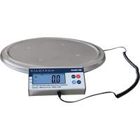 Keg Weighing Scale, 200 kg Capacity NTL Industrial