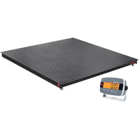 Defender 3000 Floor Scale, 5000 lbs. Capacity, 4' L x 4' W NTL Industrial