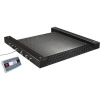 Defender 2500 Drum Scale, 500 lbs. Capacity, 2.5' L x 2.5' W NTL Industrial