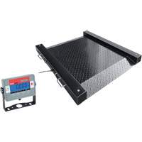DEFENDER Floor Scale, 1000 lbs. Capacity, 30" L x 30" W NTL Industrial