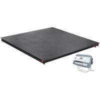 DEFENDER 5000 Floor Scale, 2500 lbs. Capacity, 48" W x 48" L NTL Industrial
