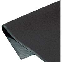 Tapis ColorStar, Essuie-pieds, 3' x 5' x 3/8", Charbon NTL Industrial