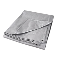 Tarp, Super Heavy-Duty, Silver, 10' x 8' x 12 mils NTL Industrial