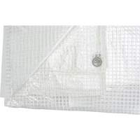 Clear Tarp, 12' x 10' x 8 mils NTL Industrial