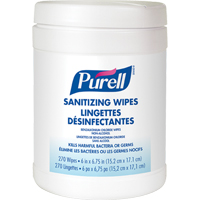 Hand Sanitizing Wipes, Canister JD602 | NTL Industrial