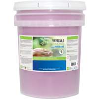 Vayselle Dish Detergent, Liquid, 20 L, Citrus JH261 | NTL Industrial