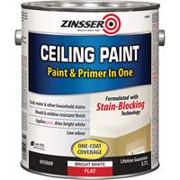 Peinture et appr&ecirc;t pour plafond en un seul produit, Blanc, Tr&egrave;s mat, 3,78 L, Gallon NTL Industrial