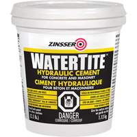 Watertite<sup>®</sup> Hydraulic Cement JL339 | NTL Industrial