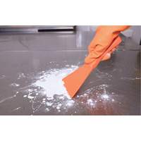 Racloir manuel grand format, Rose, 4" la x 10" lo NTL Industrial