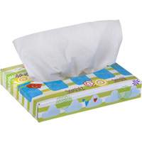 Papiers-mouchoirs pour enfants de Kleenex, 2 pli, 8,4" lo x 5,5" la, 40 feuilles/boîte NTL Industrial
