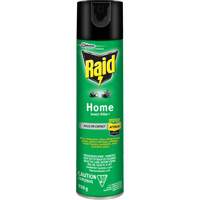 Insecticide pour insectes domestiques Raid, 350 g, &agrave; base de solvant NTL Industrial