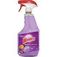 Nettoyant multi-surfaces de Windex, 765 ml, Bouteille &agrave; g&acirc;chette NTL Industrial
