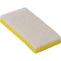745W Light-Duty Scouring Sponges, 6-1/4" L x 3-1/5" W NTL Industrial