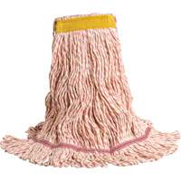 Wet Mops & Pads