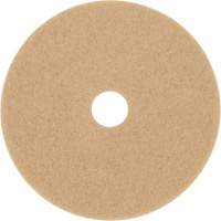 Bande abrasive Trizact Diamond TZ, 20", Brunissage, Beige NTL Industrial