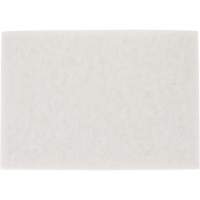 Tampon pour planchers TopLine Speed, 14" x 20", Lustrage/Nettoyage/Polissage, Blanc NTL Industrial