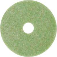 Tampon de m&eacute;lange naturel, 12", &agrave; r&eacute;curer, Vert NTL Industrial