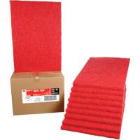 Tampon de nettoyage pour tapis, 14" x 20", Lustrage/Nettoyage, Rouge NTL Industrial