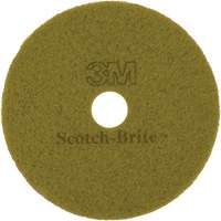 TopLine Speed Floor Pad, 17", Burnishing, Brown NTL Industrial