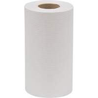 Everest Pro™ Paper Towel Rolls, 1 Ply, Standard, 205' L JO042 | NTL Industrial
