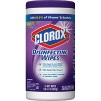 Disinfecting Wipes, 75 Count NTL Industrial