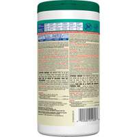 Disinfecting Wipes, 75 Count NTL Industrial
