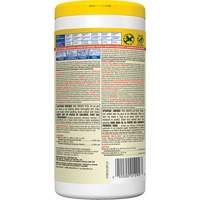 Disinfecting Wipes, 75 Count NTL Industrial