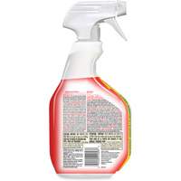 Disinfecting Bio Stain & Odour Remover, 946 ml, Trigger Bottle NTL Industrial