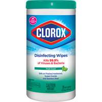 Disinfecting Wipes, 75 Count JO324 | NTL Industrial