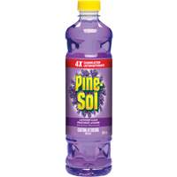 Pine-Sol<sup>®</sup> Multi-Surface Cleaner, Bottle JP201 | NTL Industrial