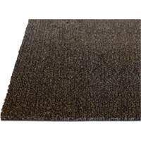 Palliser Indoor Matting, Wiper/Scraper, 3-1/2' x 6' x 5/16", Anglis NTL Industrial