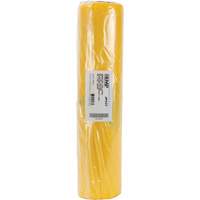 Doublures pour d&eacute;chets dangereux, Amiante, 40" lo x 26" la, 3 mils NTL Industrial