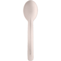 Bagasse Compostable Spoons JQ132 | NTL Industrial