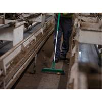 Push Broom Head, Fine/Stiff Bristles, 16-1/2", Polyester/Polypropylene, Green NTL Industrial