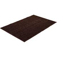 Astro-Turf Scraper Mat NTL Industrial