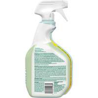 CloroxPro Clorox EcoClean Disinfecting Cleaner, 946 ml, Trigger Bottle NTL Industrial