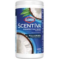 Disinfecting Wipes, 75 Count NTL Industrial