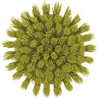 HyDrive Round Drill Brush, Extra Stiff Bristles, 3-1/10" Long, Yellow NTL Industrial