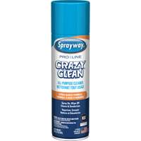 Nettoyant tout usage Pro Line Crazy Clean, 19 oz., Canette a&eacute;rosol NTL Industrial