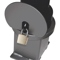 Bornes d&eacute;coratives amovibles, Acier, 40" h x 4-1/2" la, Noir NTL Industrial