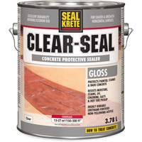 Produit d&eacute;tanch&eacute;it&eacute; protecteur Seal-Krete, 3,78 L, &agrave; l'eau, Brillant, Transparent NTL Industrial