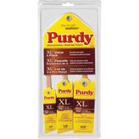 XL Paint Brush Multi-Pack, Poly/Nylon, Wood Handle NTL Industrial