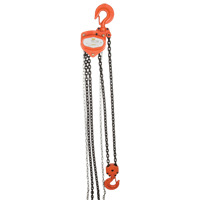 Chain Hoist, 10' Lift, 1000 lbs. (0.5 tons) Capacity, Alloy Steel Chain NTL Industrial