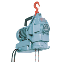 Minifor<sup>®</sup> Portable Electric Wire Rope Hoist TR30 LV084 | NTL Industrial