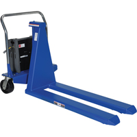 Electric Skid Lift, Steel, 2500 lbs. Capacity NTL Industrial