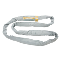 Polyester Round Sling, Grey, 4" W x 6' L, 32000 lbs. Vertical Load LW173 | NTL Industrial