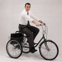 Executive Tricycles