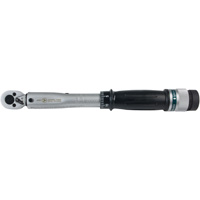 Cl&eacute; dynamom&eacute;trique JTW-1425, &agrave; cliquer, Entraînement 1/4" carr&eacute;, 40 - 250 lb-pi NTL Industrial