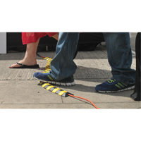 Syst&egrave;me de protection de c&acirc;bles Ultra-Sidewinder - petit , 13,125" x 3" x 0,75", 32000 lb (16 tonnes) NTL Industrial