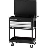 Utility Cart, 2 Drawers, 30-1/4" L x 19" W x 35-3/4" H, Black NTL Industrial
